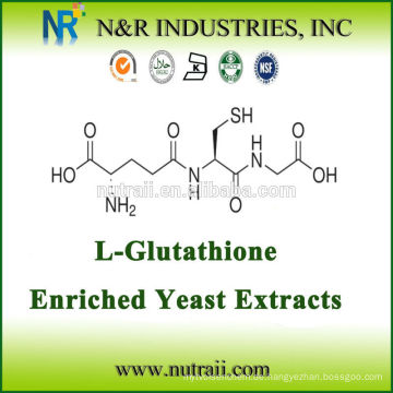 L-Glutathion angereichertes Hefeextraktpulver CAS NO 70-18-8